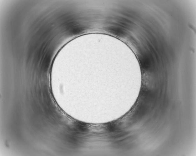 X0000095521150200712281454