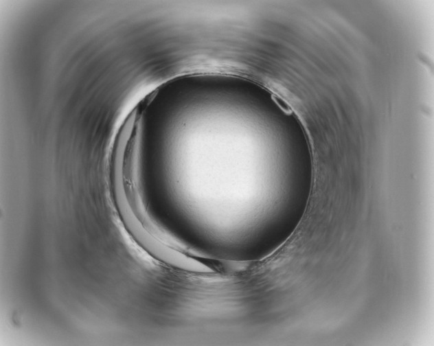 X0000095521152200712281454