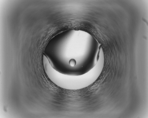 X0000095521153200712281454