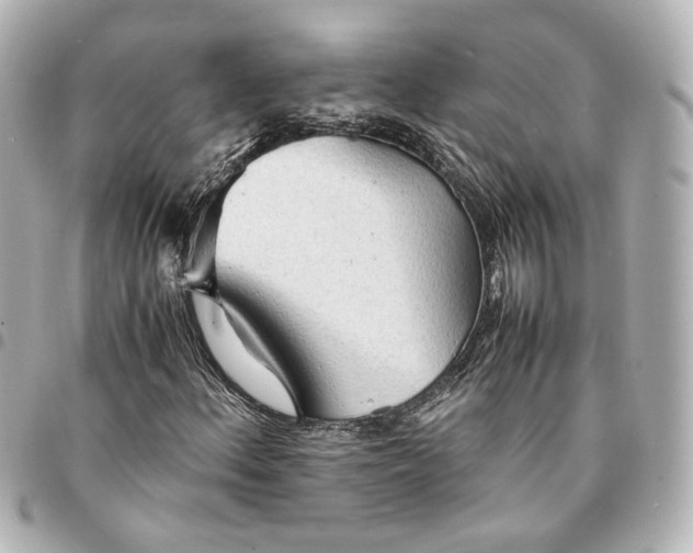 X0000095521156200712281454