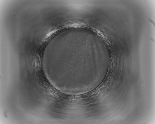 X0000095521158200712281454