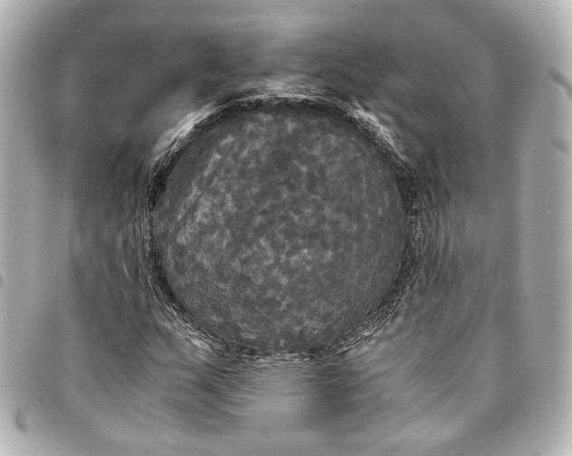 X0000095521159200712281454