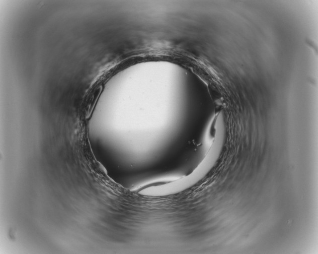 X0000095521160200712281454