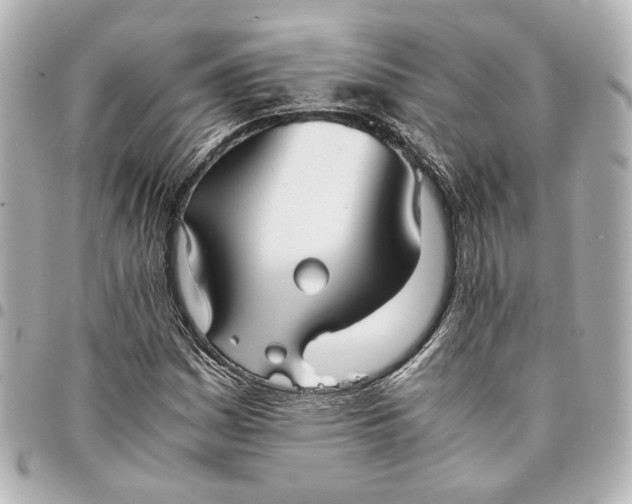 X0000095521161200712281454