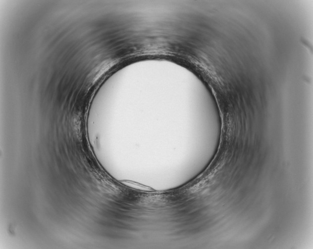 X0000095521162200712281454