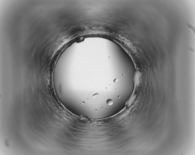 X0000095521165200712281454