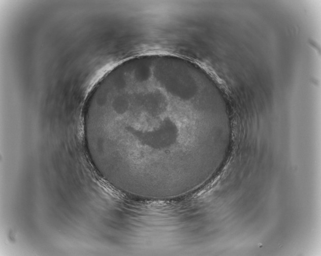 X0000095521167200712281454