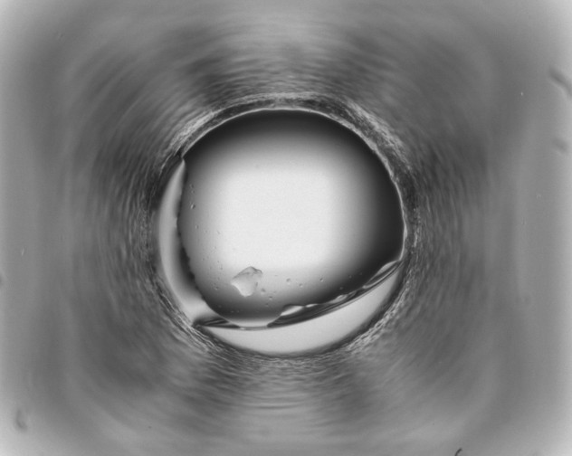 X0000095521169200712281454