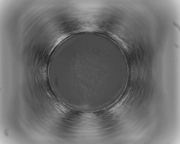 X0000095521170200712281453