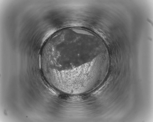 X0000095521171200712281453