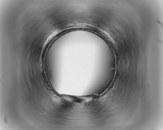 X0000095521172200712281453