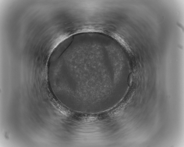 X0000095521173200712281453