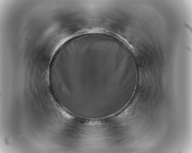 X0000095521174200712281453