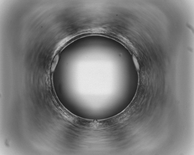 X0000095521176200712281453