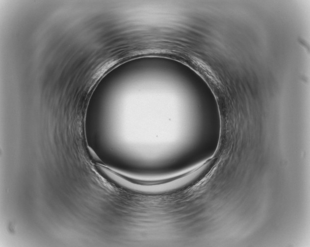 X0000095521177200712281453