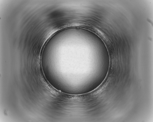 X0000095521178200712281453