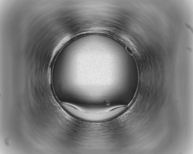 X0000095521180200712281453