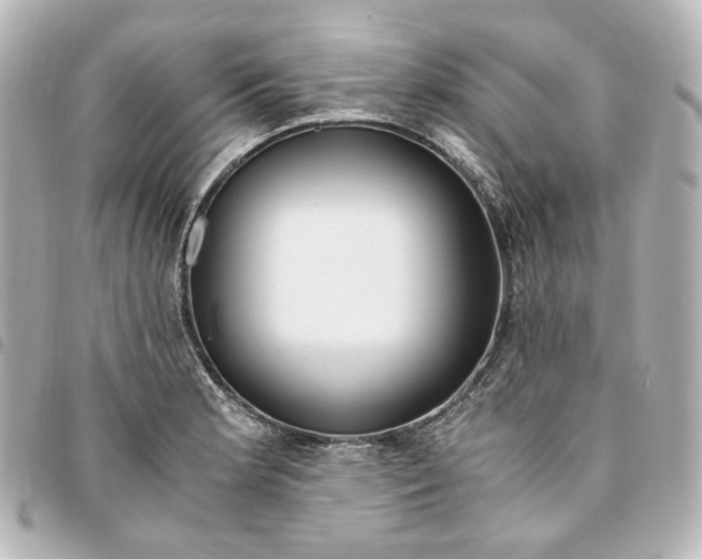 X0000095521181200712281453