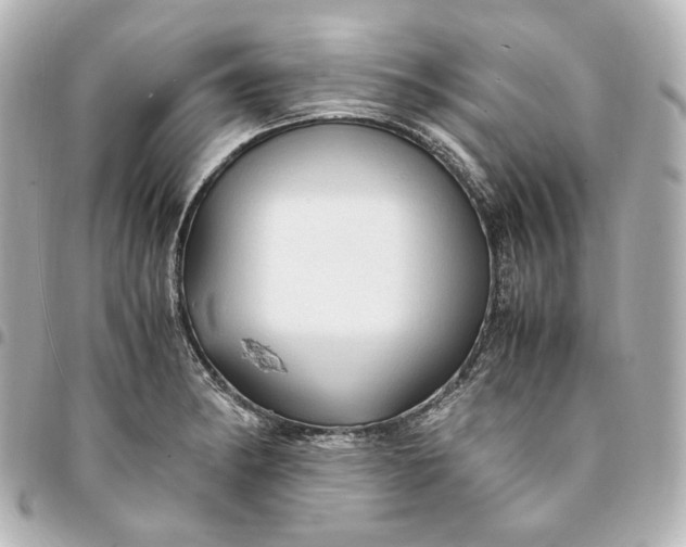 X0000095521182200712281453