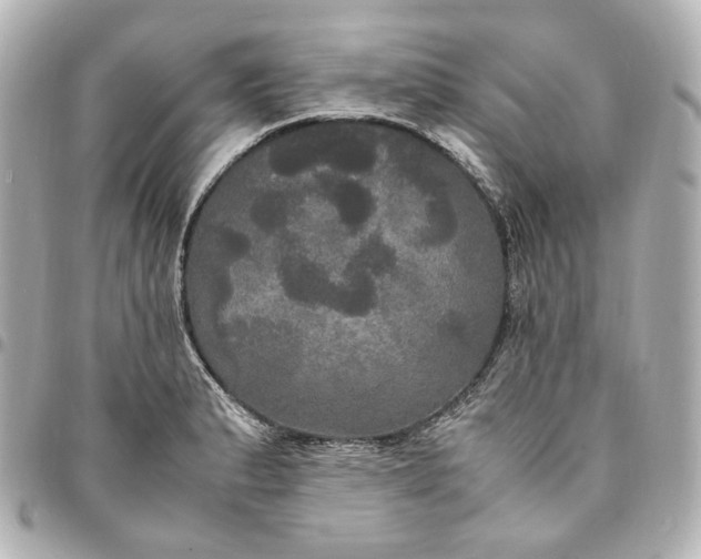 X0000095521183200712281453