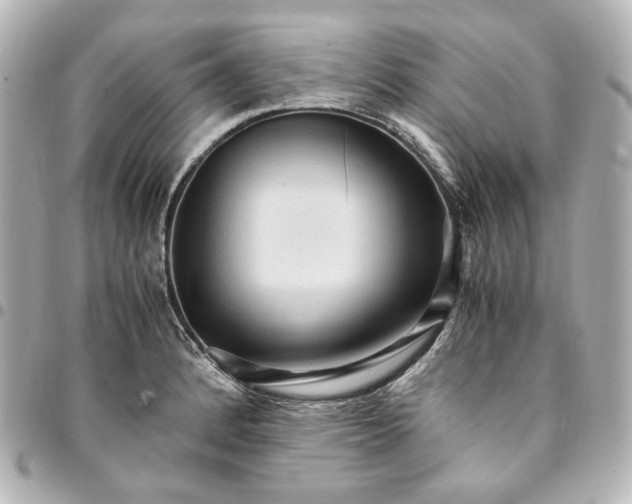 X0000095521184200712281453