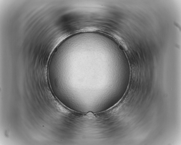 X0000095521186200712281453