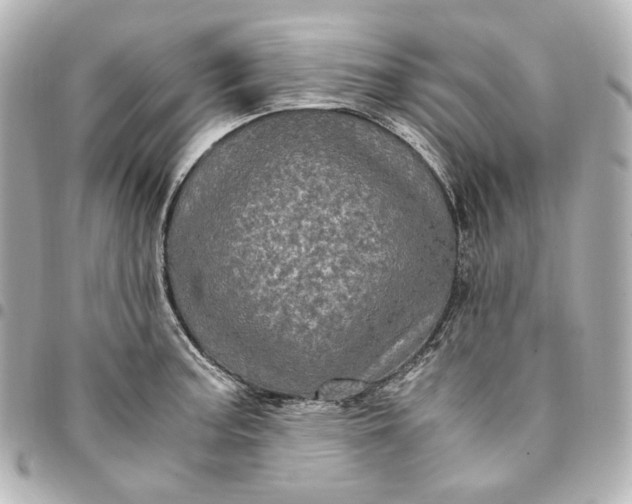 X0000095521187200712281453