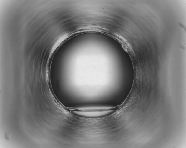 X0000095521188200712281453