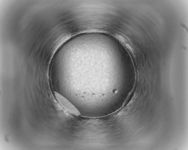 X0000095521189200712281453