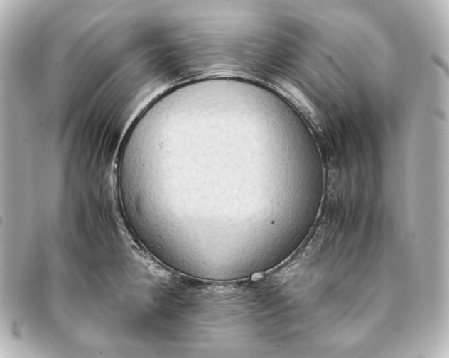 X0000095521190200712281453