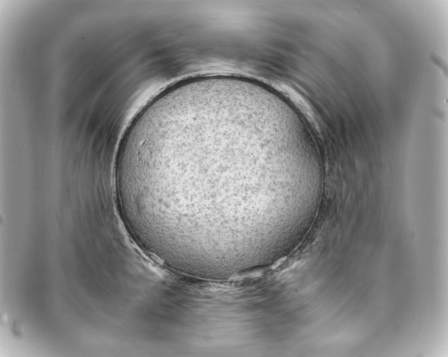 X0000095521191200712281453