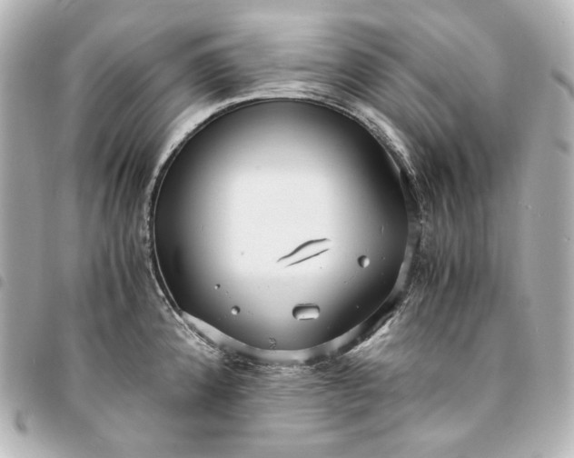 X0000095521192200712281453