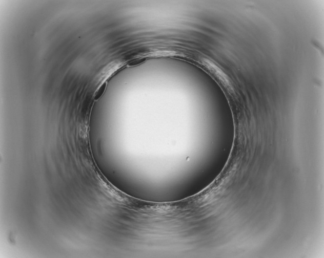 X0000095521193200712281453