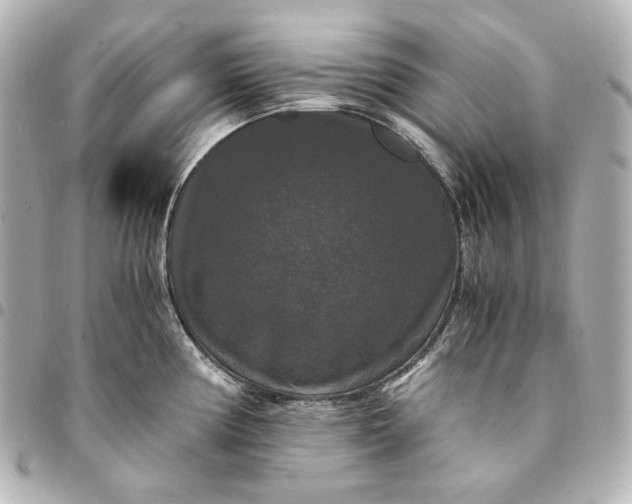 X0000095521194200712281453