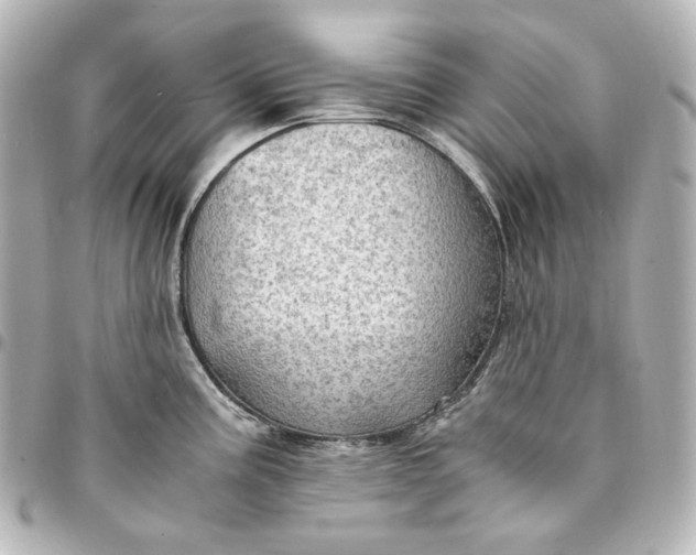 X0000095521195200712281453