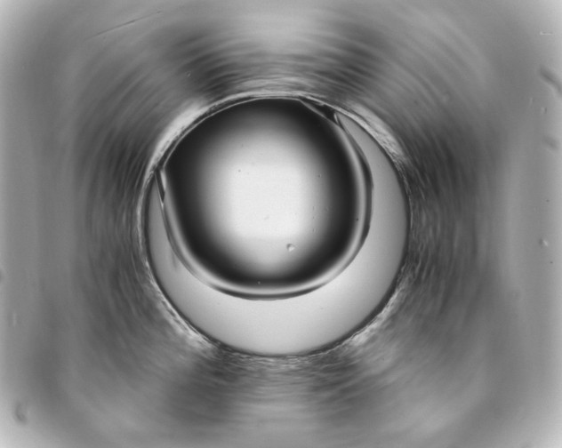 X0000095521196200712281453