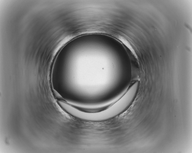 X0000095521197200712281453