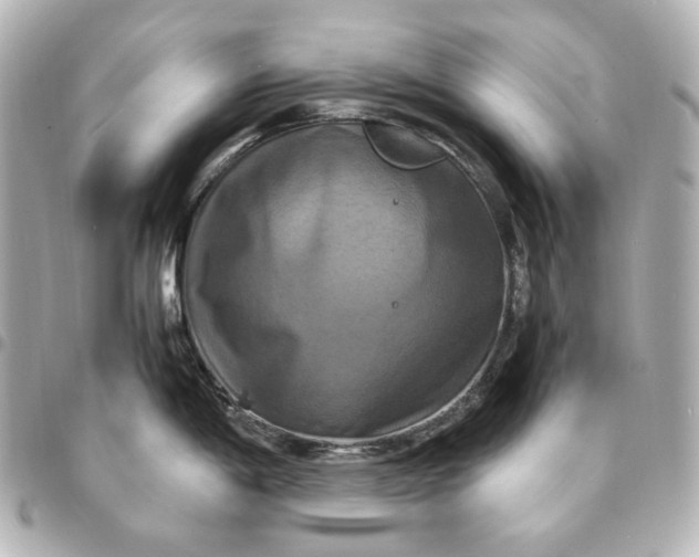 X0000095521198200712281453