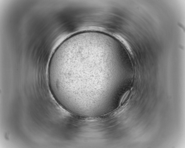 X0000095521199200712281453