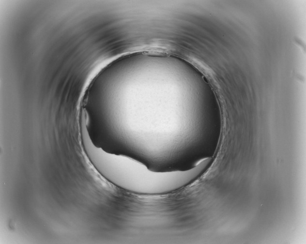 X0000095521200200712281453