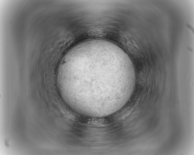 X0000095521201200712281452