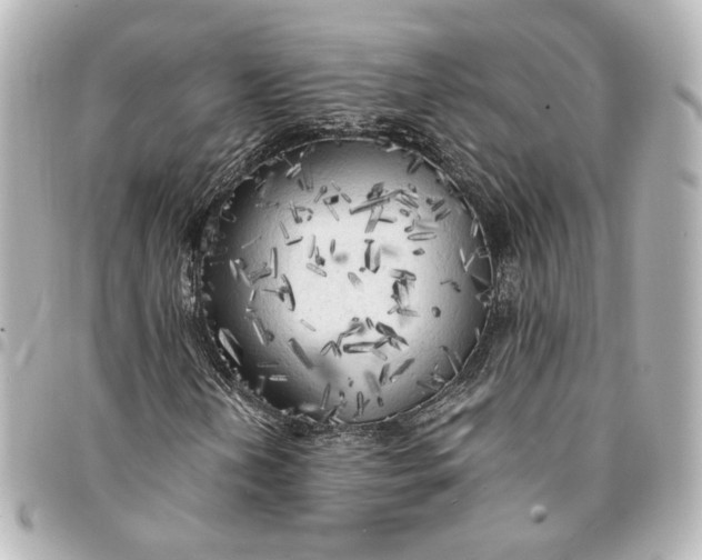 X0000095521202200712281452