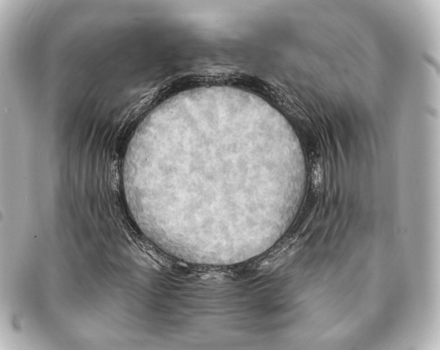 X0000095521204200712281452