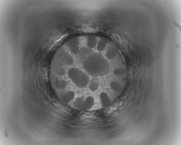 X0000095521205200712281452