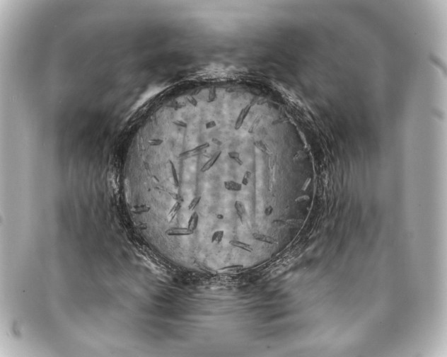 X0000095521206200712281452