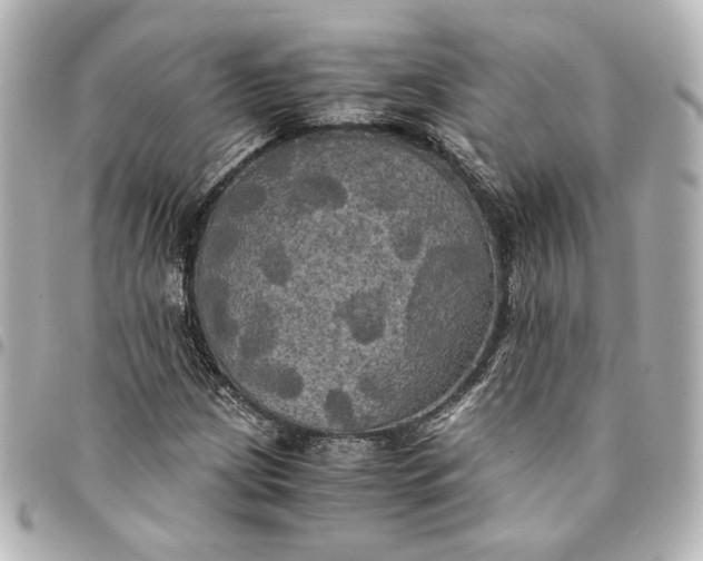 X0000095521209200712281453