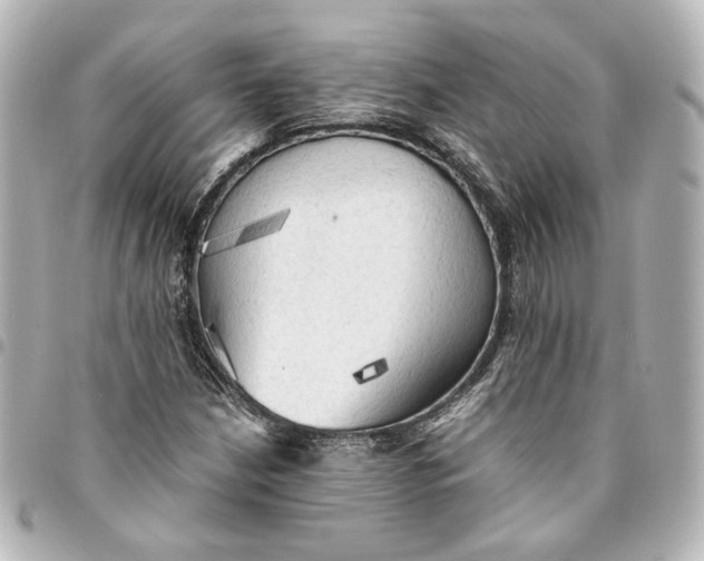 X0000095521210200712281453