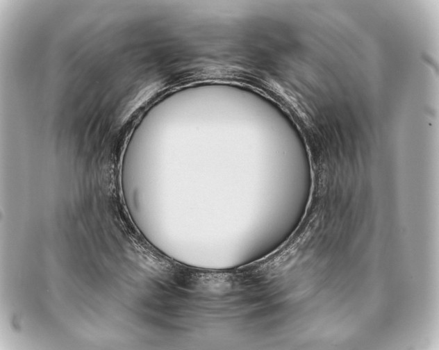 X0000095521211200712281453