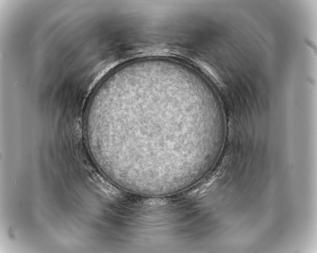 X0000095521212200712281453