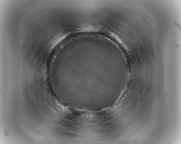 X0000095521213200712281453